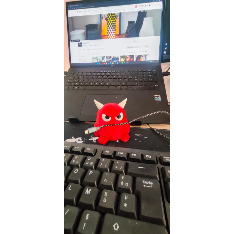 Marre des câbles qui glissent derrière le bureau et des cartes mémoire qui se perdent sous le clavier ? Adoptez un Desktop Monst